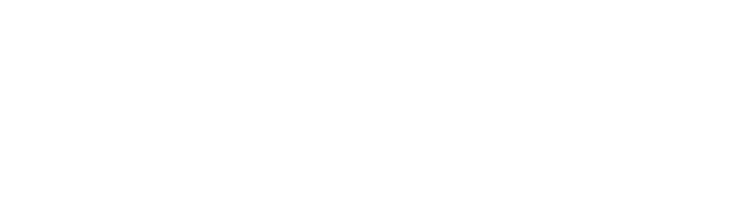 Cezar Impex Trans Srl